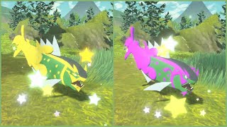 Two Shiny Basculin In One Outbreak In Pokemon Legends Arceus Basculegion Evolutions [upl. by Haliek]