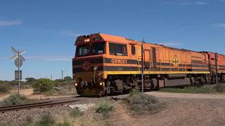 Eyre Peninsula Narrow Gauge Whyalla Ore [upl. by Persson]