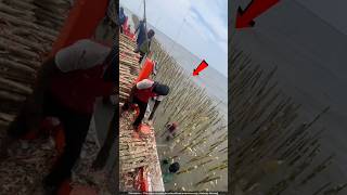 चीन वाले समुंद्र में लकड़ियां क्यों दबा रहे हैं 🙄 mussels farming [upl. by Joao]