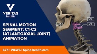 Spinal Motion Segment C1C2 Atlantoaxial Joint Animation [upl. by Anec]