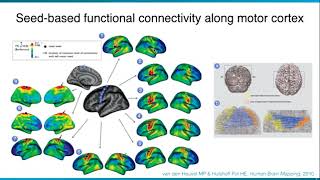 OHBM Oral Presentations 2018 Daniel Margulies [upl. by Saudra169]