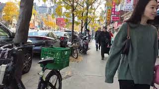 spadina walk SUN OCT 27 2024 TORONTO toronto trending viral shortsviral vlog subscriber [upl. by Bree7]