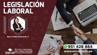 CURSO LEGISLACIÓN LABORAL 2022 [upl. by Rramal431]