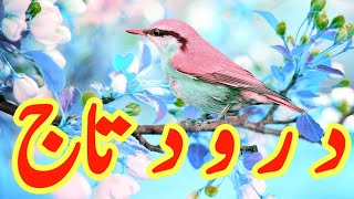 Daily Darood e Taj  beautiful voice Darood Taj  Darood Sharif  by Imtiaz Ahmad  Ep039 [upl. by Lacym]