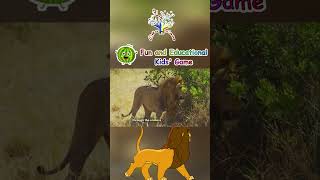 The Animal Song  Lion  Cute Lion  The Lion Song  Edufam Kids Song and Nursery [upl. by Adnaval986]