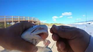 Playalinda Beach Florida East Coast Surf Fishing [upl. by Leirua490]