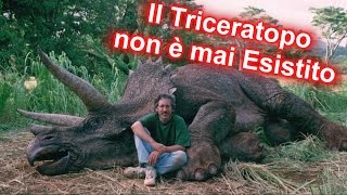 10 BUGIE a cui credi sui DINOSAURI [upl. by Orbadiah]