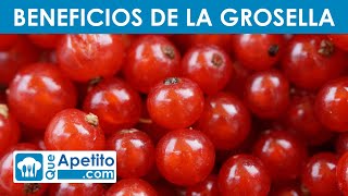 8 Propiedades y Beneficios de la GROSELLA ​🍒✅  QueApetito [upl. by Lumbye117]