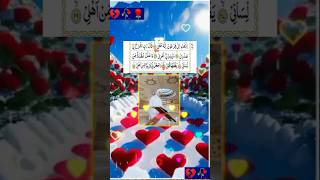 Beautiful Quran Recitation TAHA سورۃ طٰہٰ quran [upl. by Alleram820]