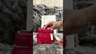 Unboxing Dior Mini Vanity Case Bag dior diorbag minibag handbags handbaglover redbag cutebag [upl. by Motteo]