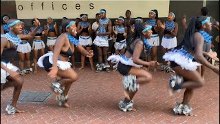 BEST XHOSA TRADITIONAL DANCE  HIGHLY SPIRITUAL [upl. by Wivinah]