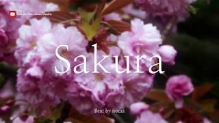 무료 아련하고 슬픈 BGM  사쿠라   Free Background Music  Sakura [upl. by Yeung]