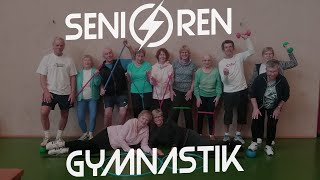 Seniorengymnastik mit Pezziball [upl. by Aytnahs469]