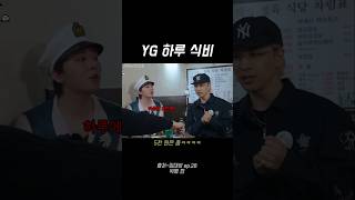 YG 하루 식비 [upl. by Anaujit474]