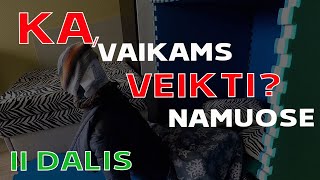 Ką Vaikams Veikti Namuose kai nėra ką veikti  II dalis  Tyrinėtojai [upl. by Yorke]