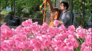 MAN PLAYING KEYBOARD IN TULIP FESTIVAL [upl. by Seraphim64]