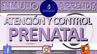 Atención y Control Prenatal [upl. by Kerk]