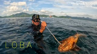 Bagong spot unang dive Loba agad • Jackpot • Catch Cook amp Sell [upl. by Haim387]