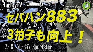 【883の3拍子は、チューニングでさらに変えられるのか？】馬力じゃない！街中だ！セパハン 2018 アイアン883 XL883N Sportster ハーレーTV  ハーレーダビッドソン東久留米 [upl. by Urquhart]