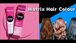 How To Do Hair Colour Step By Step  How To Use Matrix Socolor PreBonded hair colour [upl. by Court]