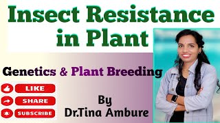 Insect Resistance in Plant  Genetics and Plant Breeding  by Dr Tina Ambure [upl. by Fredel264]