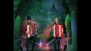 Accordion Show  My Fathers Son 아코디언 연주 [upl. by Rialcnis]