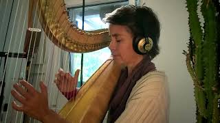 Pure Acoustic Techno Session Didgeridoo Cajon Harp Violin amp Voice Jam in the Living Room [upl. by Koorb]