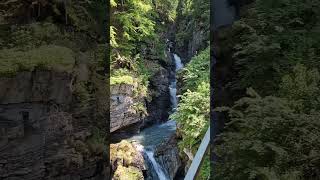 Magnificent Reichenbach Falls Heritage Railway in Switzerland 🇨🇭 🚂😍 switzerland [upl. by Eirroc70]