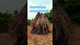 दोस्तों सब्सक्राइब जरूर करें खेत की मेहनत और शॉट्स की मेहनत के लिए [upl. by Hnahc612]