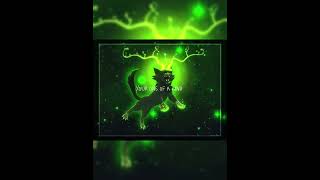 Hollyfawn edit warriors warriorcats cat hollyfawn hollyleaf [upl. by Weinhardt]