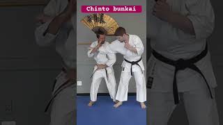 Chinto and Rohai Oyo Bunkai bunkai chinto karate shorinryu rohai [upl. by Hotchkiss974]