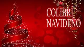 COLIBRÍ NAVIDEÑO [upl. by Elyc]