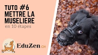 TUTO 6  La muselière en douceur en 10 étapes [upl. by Anaili]