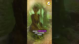 Dancing Nymphs of the Forest  Enrapturing Hamadryades greekmythology [upl. by Nowaj866]