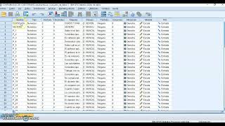 Como tabular datos de una encuesta en Excel Fácil [upl. by Benedick429]