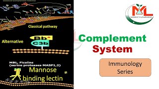 complement system  Complement system activation [upl. by Enimzaj]