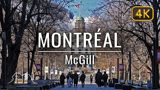 Exploring the Historic Heart of Montréal McGill University  4K City Walking Tour  Ambient Sound [upl. by Timmie]