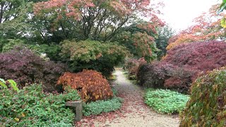 Aceretum Plantentuin Esveld Beautiful Autumn Colors [upl. by Nyvlem]