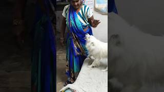 Honey mom ke sath kaise khelta hai akashrbl783 youtubeshorts ranivlogrbl शोर्ट्स [upl. by Aneeuq]