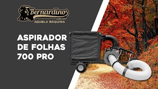 ASPIRADOR DE FOLHAS 700 PRO [upl. by Gusella]