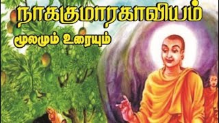 நாக குமார காவியம்  ஐஞ்சிறு காப்பியங்கள்  Nagakumara kaviyam  நாக பஞ்சமி [upl. by Aisel]