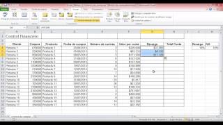 Control de compras Excel básico 4 [upl. by Majka]