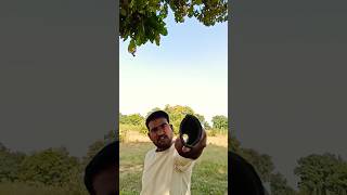 Mithun da dialogue shortsvideo youtubshorts madan dikoli [upl. by Grant88]