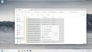 Temporary Files Not Deleting in Windows 1110 Solution [upl. by Tristam]