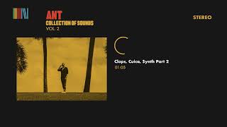 Ant  Claps Cuica Synth Part 2 Official Audio [upl. by Eisdnyl]