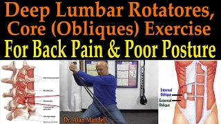 Deep Lumbar Rotatores Core Obliques Exercise for Back Pain amp Poor Posture  Dr Mandell [upl. by Ryter889]