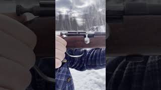 Cooey Model 39 single shot 22LR rifle [upl. by Nauqahs]