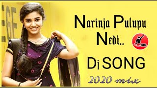 Narinja Pulupu Nedi Dj Song  Bhageeratha Movie Dj Songs  DJ Chandra From Alicherla Bangarupalem [upl. by Arhaz531]