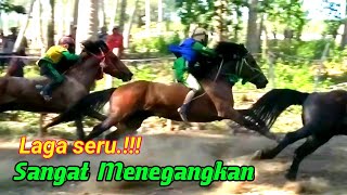 Pacuan kuda atau maen jaran sumbawa labuhan burung kecamatan buer [upl. by Patrizius]