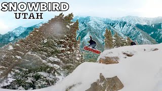 MindBlowing POWDER DAY at SNOWBIRD The BEST Resort in Utah 2023 [upl. by Eniale530]